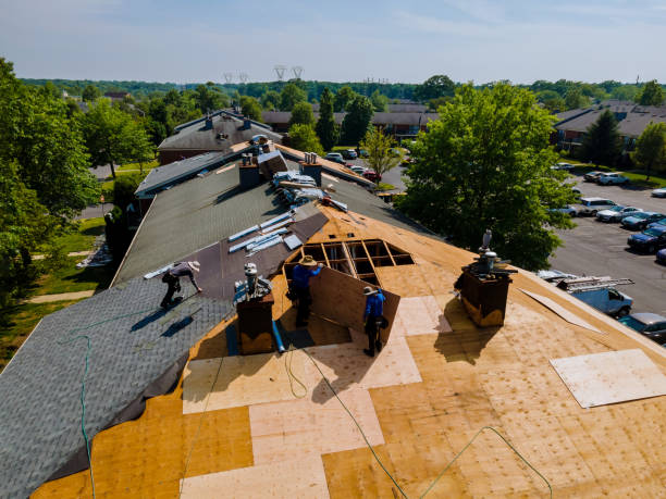 Trusted Storm Damage Roof Repair service in Startup, WA - Brentwood Metal Roofing